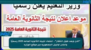 “الآن وبعد طول انتظار”.. اعتماد نتيجة الثانوية العامة 2025 رسميًا وإعلان أوائل الجمهورية عبر موقع الوزارة